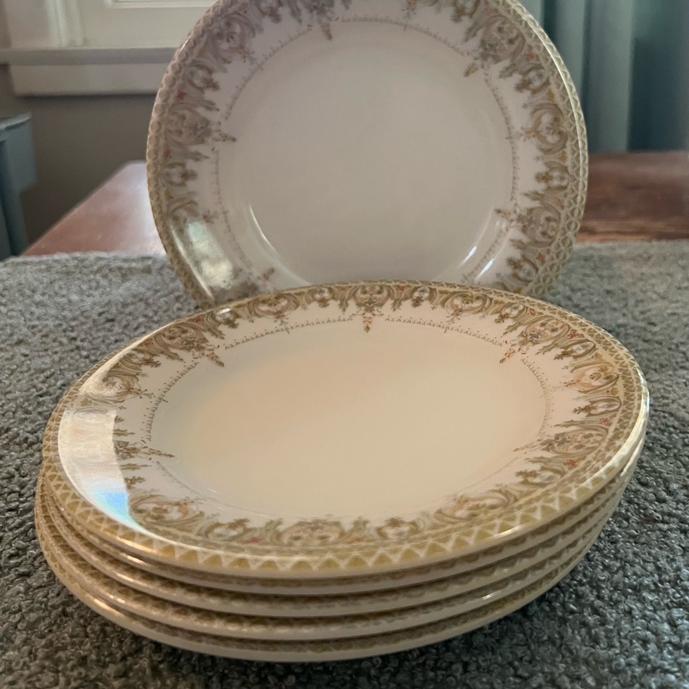 Elegant Acrylic Gold Trimmed Salad Plates Set of 9 7”
